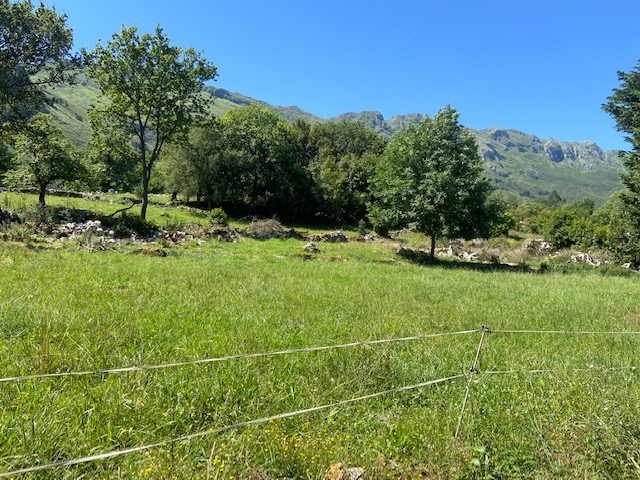 se vende parcela para edificar con proyecto de vivienda en llanes